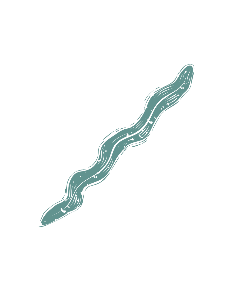 Heilpraktiker Amberg: Psychosomatik